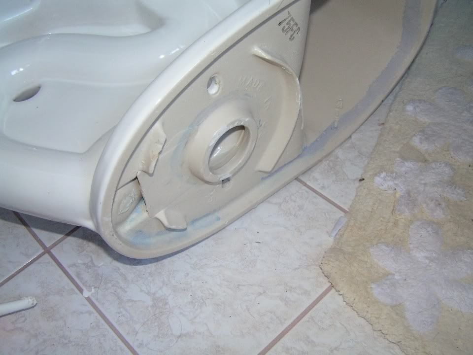 ELJER AND JACUZZI TOILETS Silicon Valley Living