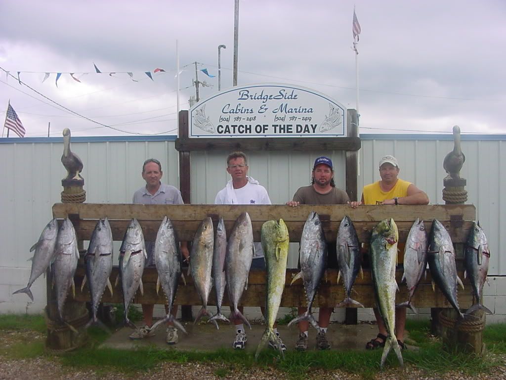 26 regulator vs 25 contender 20002004 The Hull Truth Boating and