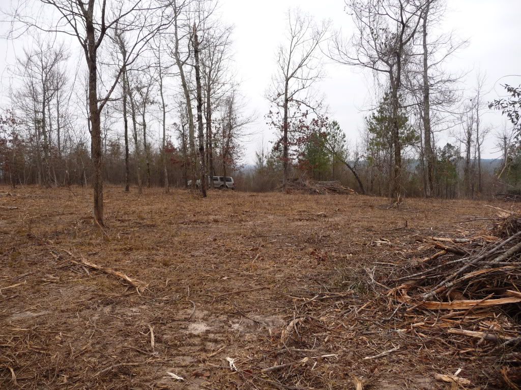 New Homestead in Progress - Homesteading Questions