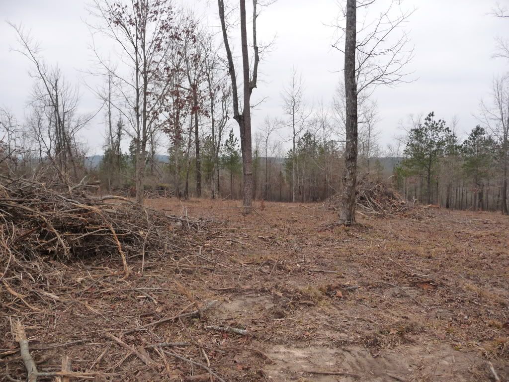 New Homestead in Progress - Homesteading Questions