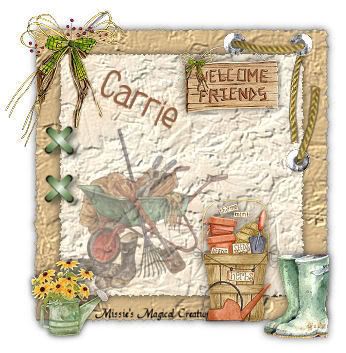 mmcWelcomeGardenCarrie-vi.jpg picture by 2breakaway1968