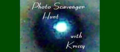 photohunt.jpg picture by 2breakaway1968