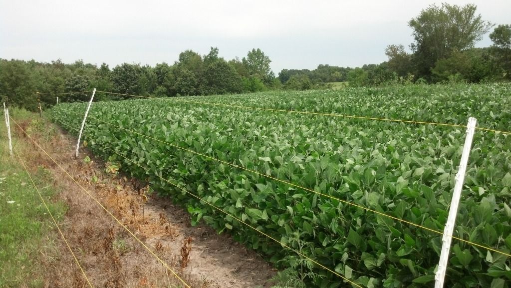 2012-07-22_12-28-10_979-2.jpg