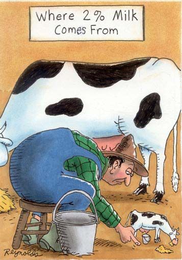 photo 2Milk.jpg