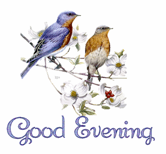 photo GoodEveningEasternBlueBirdskpo.gif