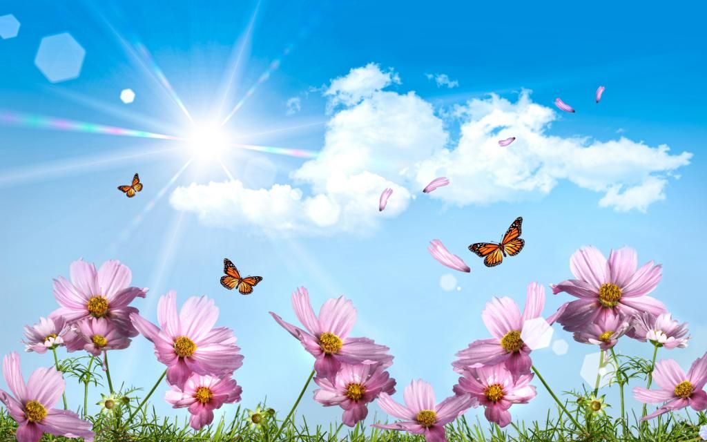 photo dream-summer-2012-beautiful-summer-day-for-cherie_2560x1600_96370.jpg