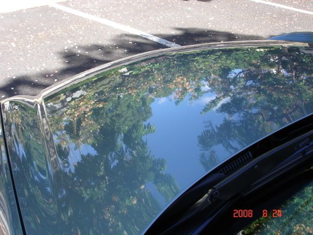 009-2.jpg