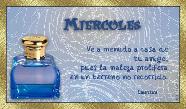 2006-06-04_mgc-Perfumes-03-Miercole.jpg picture by piluca_album
