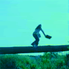 -189.gif