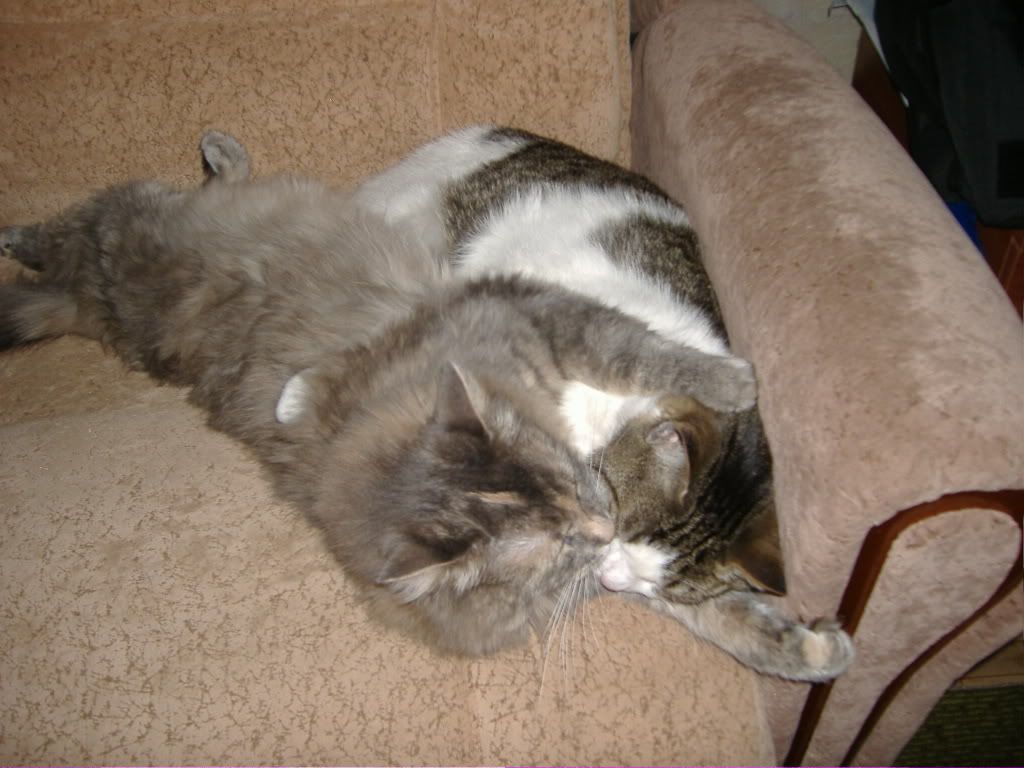 DSCF0771.jpg