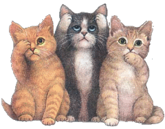 Cat453.gif picture by luzyllen