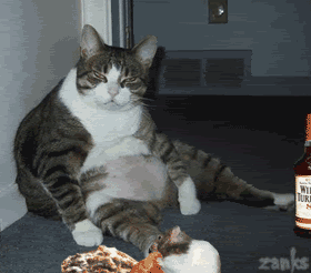 GGG20cattitude.gif picture by luzyllen