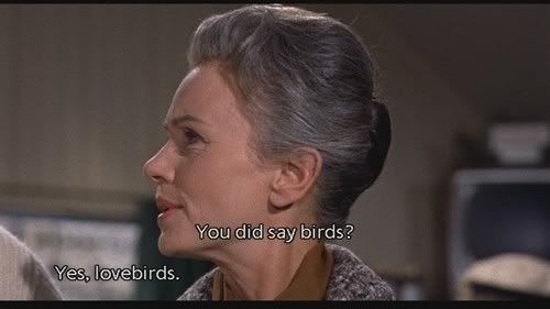 thebirds28.jpg