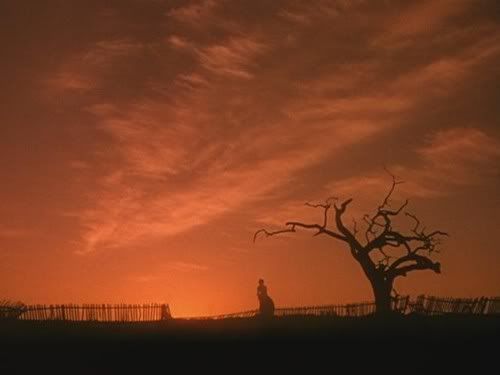 gonewiththewind33.jpg