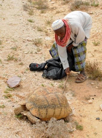 Somalia-Tortoise-Man-340x456.jpg