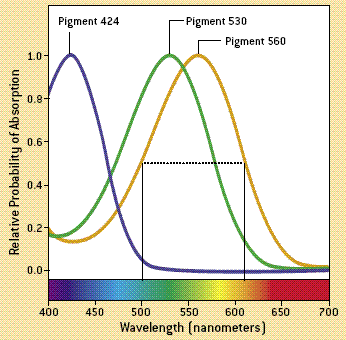 HumanSpectrum.gif