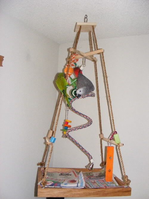 Reduced_Hanging_Playgym.jpg