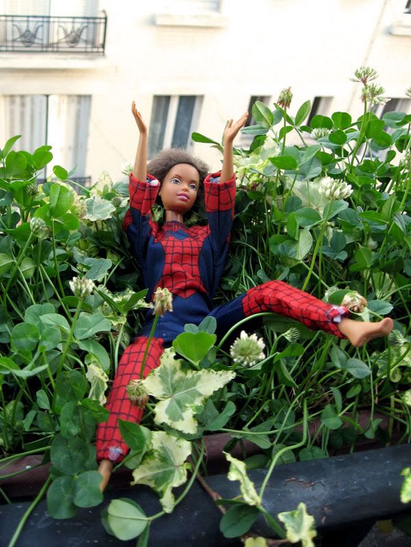 http://i184.photobucket.com/albums/x293/mlleninon/BarbieSpiderman.jpg