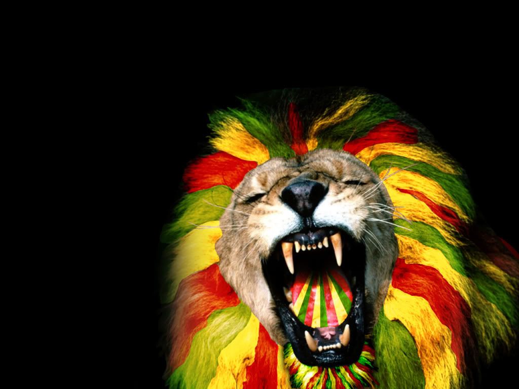 ReggaeLeeuw.jpg Reggae Lion Wallpaper big