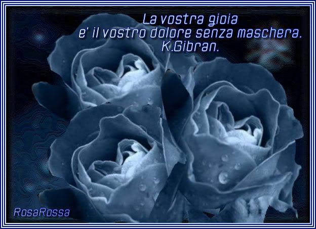 http://i184.photobucket.com/albums/x306/RosaRossa_2007/PETALI%20DI%20ROSE/Rose-blucomelanotte.jpg