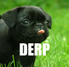 Derp Pictures, Images and Photos