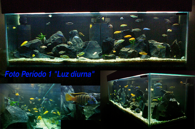 Luzdiurnaaquanovolayoutcpia.png