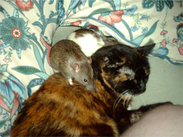 IMAG0658-1.jpg
