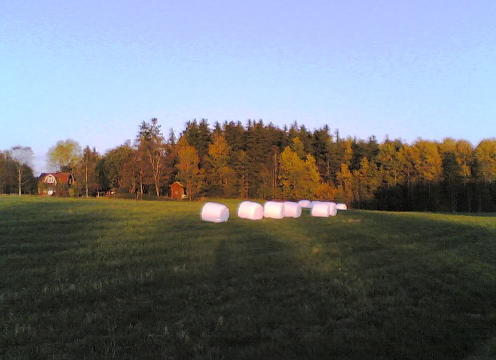 Fall2008-10