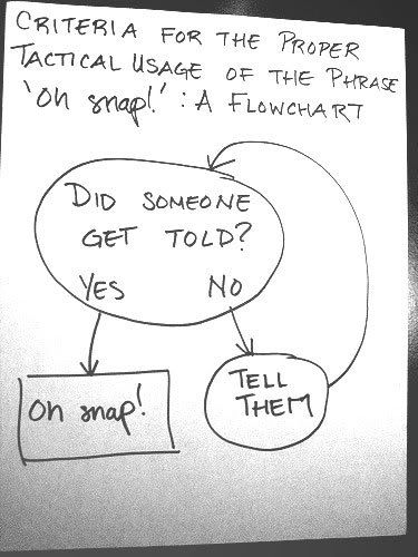 oh_snap_flowchart_sm.jpg