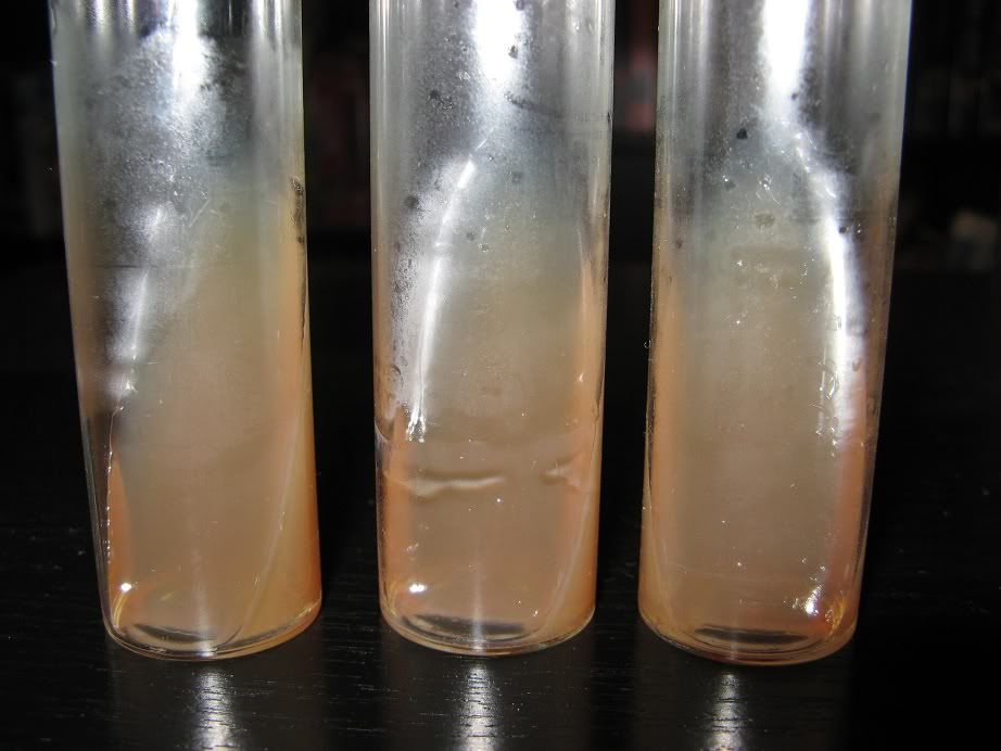 Agar Slant Tube