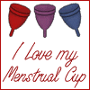 coletor menstrual comprar holy cup