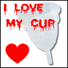 holy cup coletor menstrual como usar