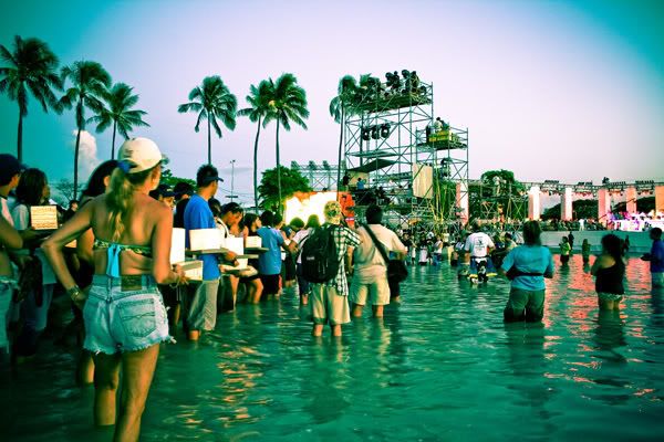 IMAGE: http://i184.photobucket.com/albums/x53/senoni/IMG_0509-2web.jpg