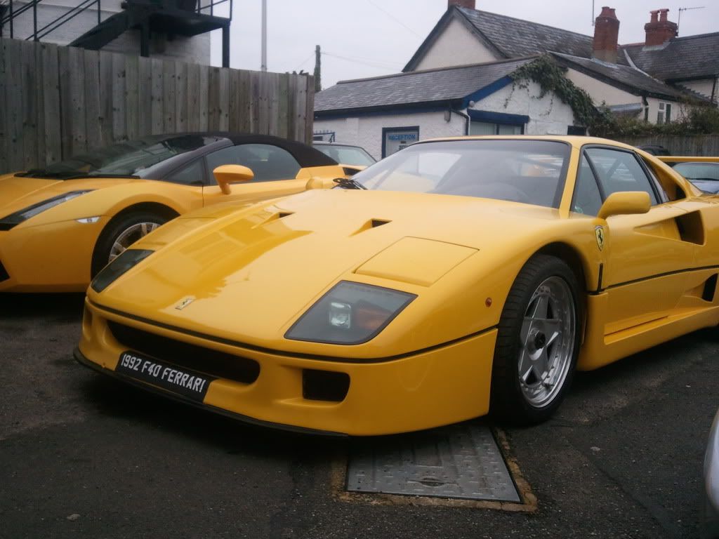 2011-03-21080509.jpg