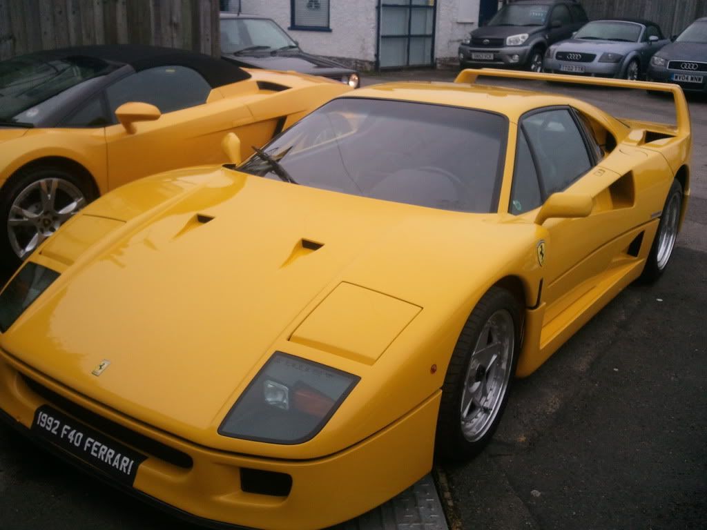 2011-03-21080518.jpg
