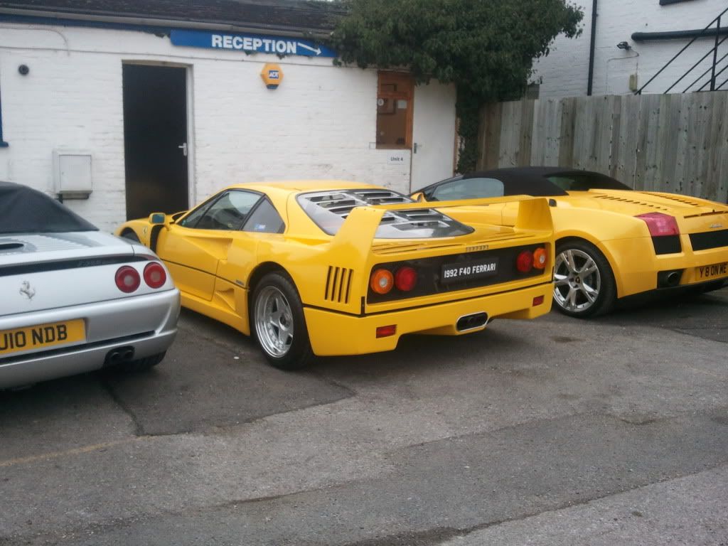 2011-03-21080543.jpg