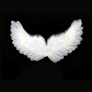 angel wings for Amanda Wilsons Drawing Image