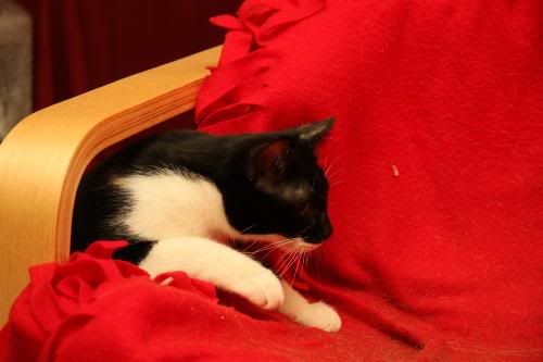 IMG_7525.jpg