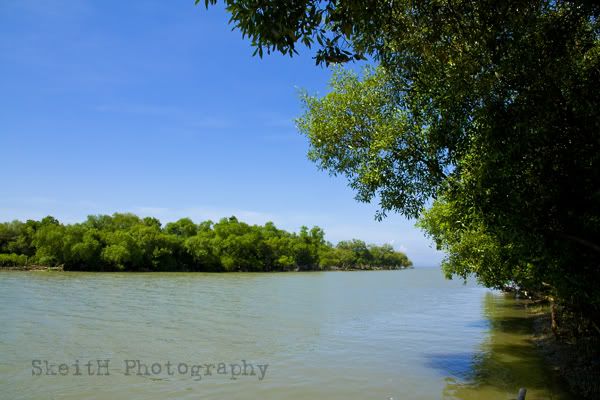 IMAGE: http://i184.photobucket.com/albums/x65/rengeki_92/IMG_4533.jpg