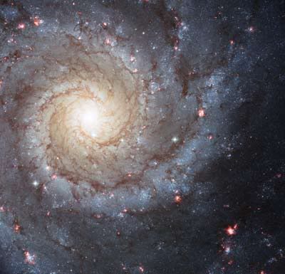 spiral galaxies