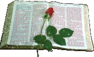 Bible redrose glitter small Pictures, Images and Photos