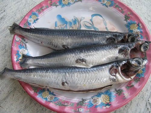Làm sạch cá chuồn