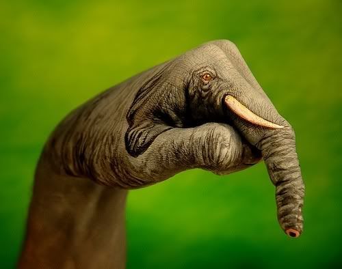 http://i184.photobucket.com/albums/x76/Samardeep/Finger%20Art/elephant.jpg