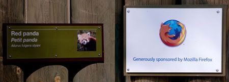 Imágen que representa como Firefox patrocina a los pandas rojos en algunos zoológicos (esta imagen es del zoo de toronto)