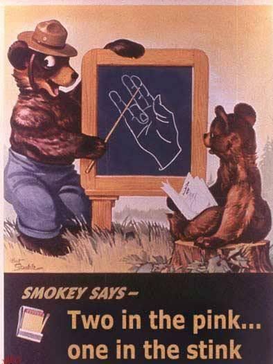 Smokey Says. . .