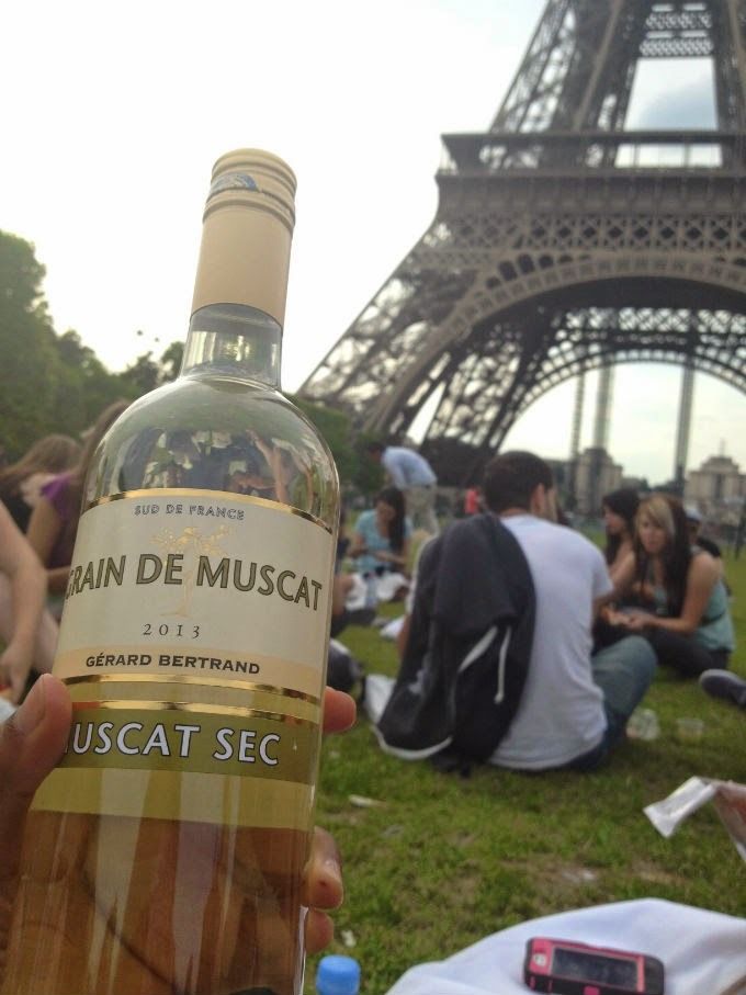 drink wine by the eiffel tower paris france
