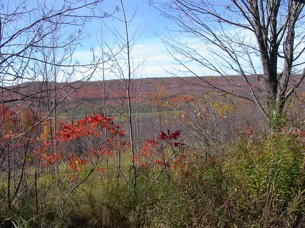 Fall Mountain Tour 1