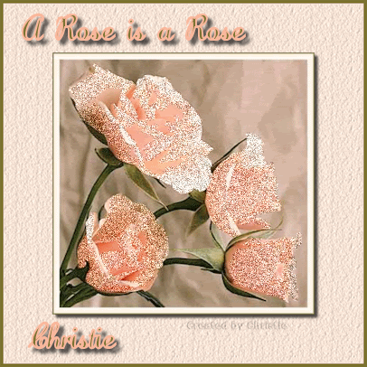Rose is a Rose