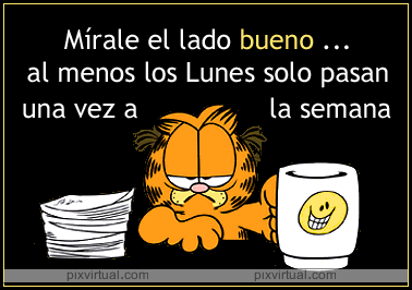 AL MENOS LOS LUNES SOLO PASAN UNA VEZ A LA SEMANA