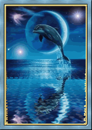 la luna y el delfin